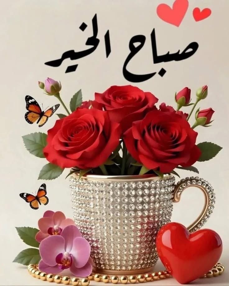 🌷🌺🌷ملاك الروح🥀🌹 tweet media