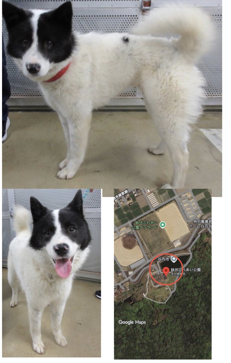 No more culling! tweet media