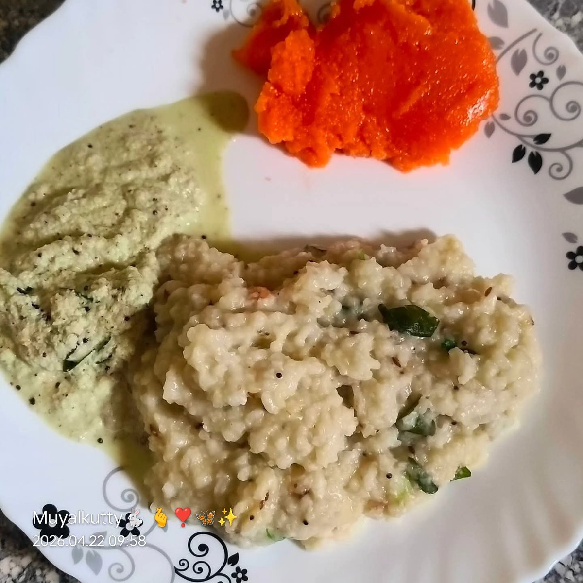 🐇✿ 𝓜𝓾𝔂𝓪𝓵 𝓚𝓾𝓽𝓽𝔂 ✿💜 tweet media