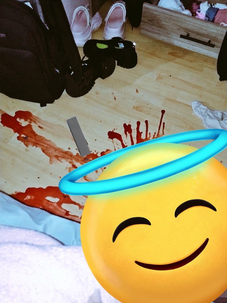 jimmy hopkins of shedtwt tweet media