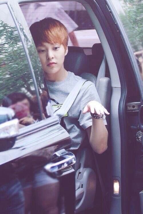 xiumindailypics tweet media