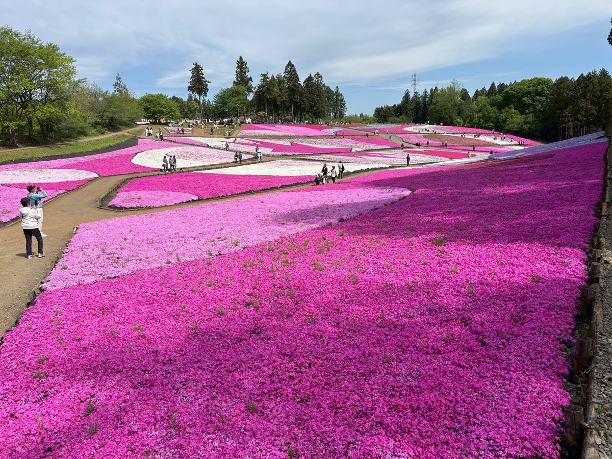 秩父市観光課 tweet media