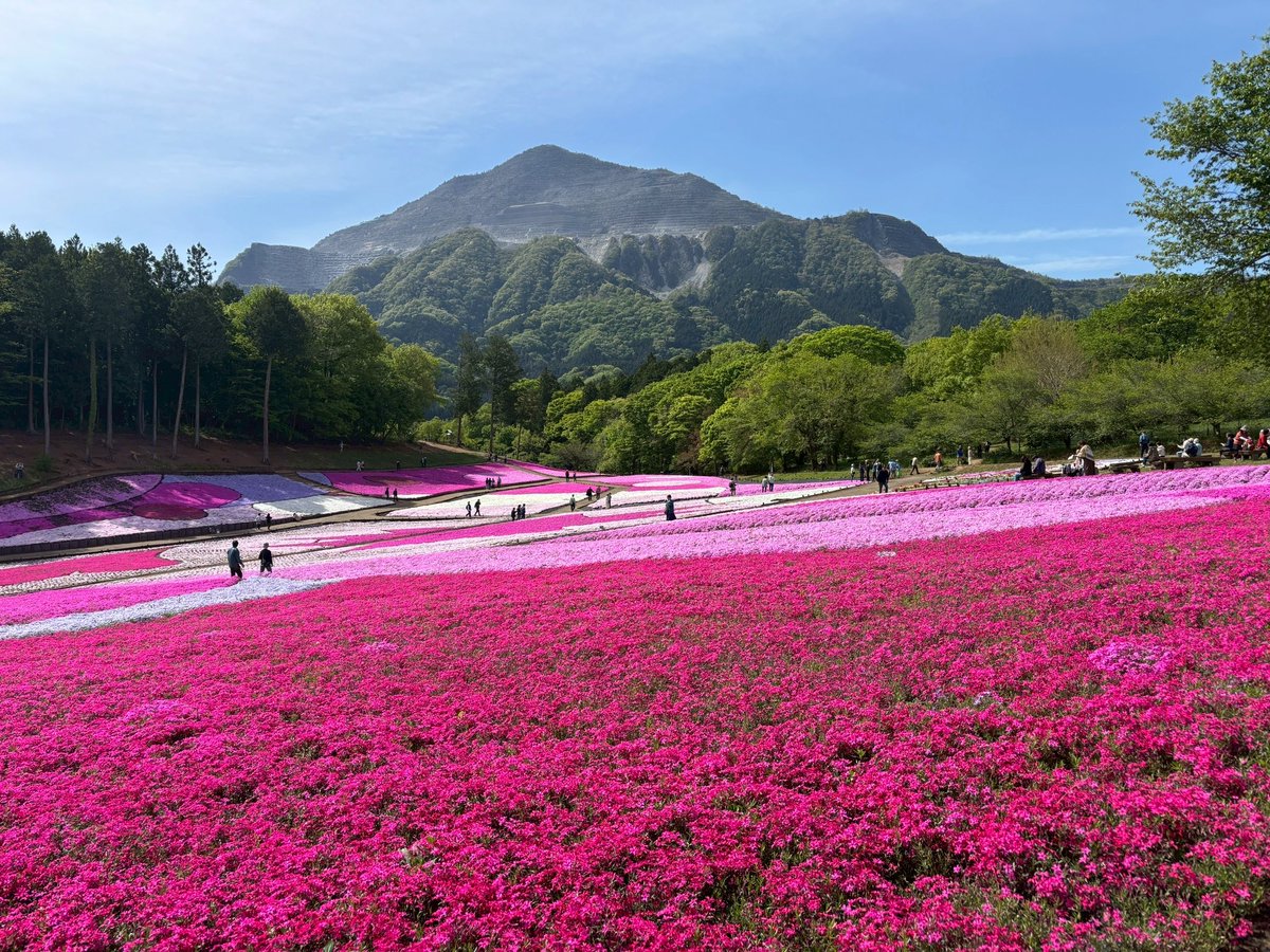 秩父市観光課 tweet media