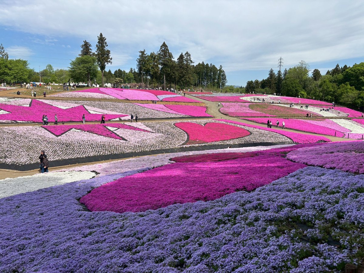 秩父市観光課 tweet media