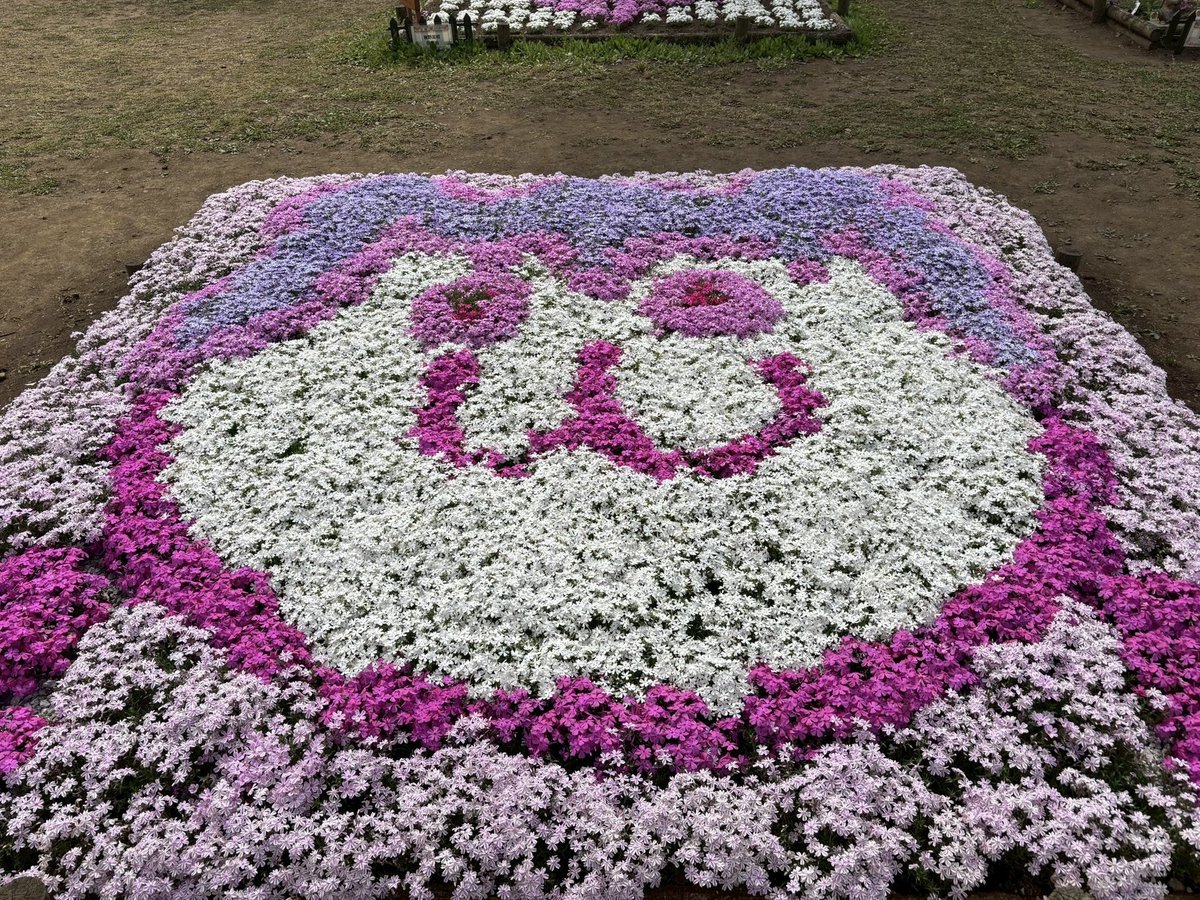 秩父市観光課 tweet media