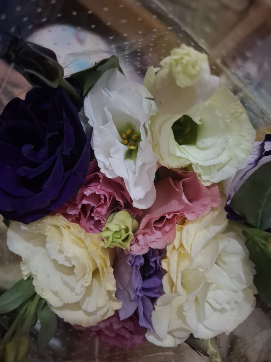 🪷♡🏹 tweet media