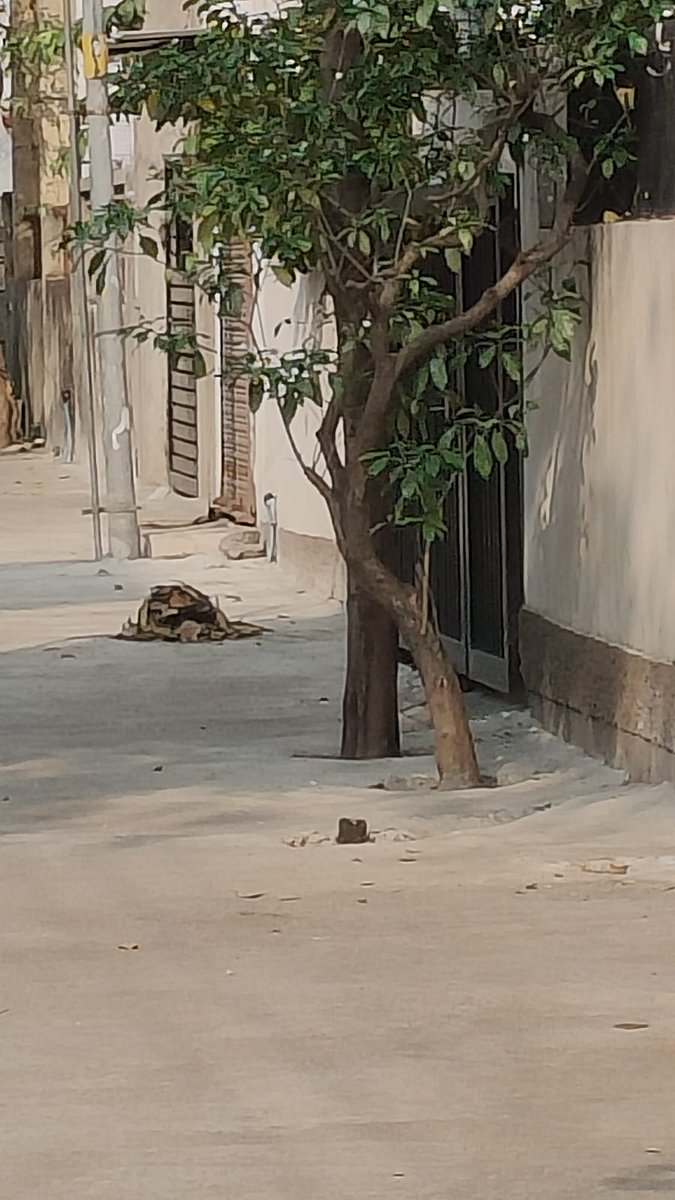 SaveTreesFromConcrete
 Surajya Abhiyan
ಮಹಾರಾಷ್ಟ್ರದಾದ್ಯಂತ ರಸ್ತೆ ಅಭಿವೃದ್ಧಿ ಹೆಸರಿನಲ್ಲಿ ಹಾಗೂ ಜಾಹೀರಾತು ಪ್ರದರ್ಶಿಸುವ ನೆಪದಲ್ಲಿ ಮರಗಳಿಗೆ ಮಳೆ ಹೊಡೆದು ಜಾಹಿರಾತು ಫ್ಲೆಕ್ಸ್ ನೇತಾಕುವುದು, ಮರದ ಸುತ್ತ ಕಾಂಕ್ರೀಟ್ ಹಾಕುವುದು ಇದರ ವಿರುದ್ಧ ಮಹಾರಾಷ್ಟ್ರ ಸರ್ಕಾರವು ಸೂಕ್ತ ಕ್ರಮ ತೆಗೆದುಕೊಳ್ಳಬೇಕು.