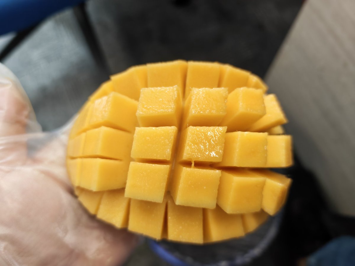 连只猫都没有 tweet media