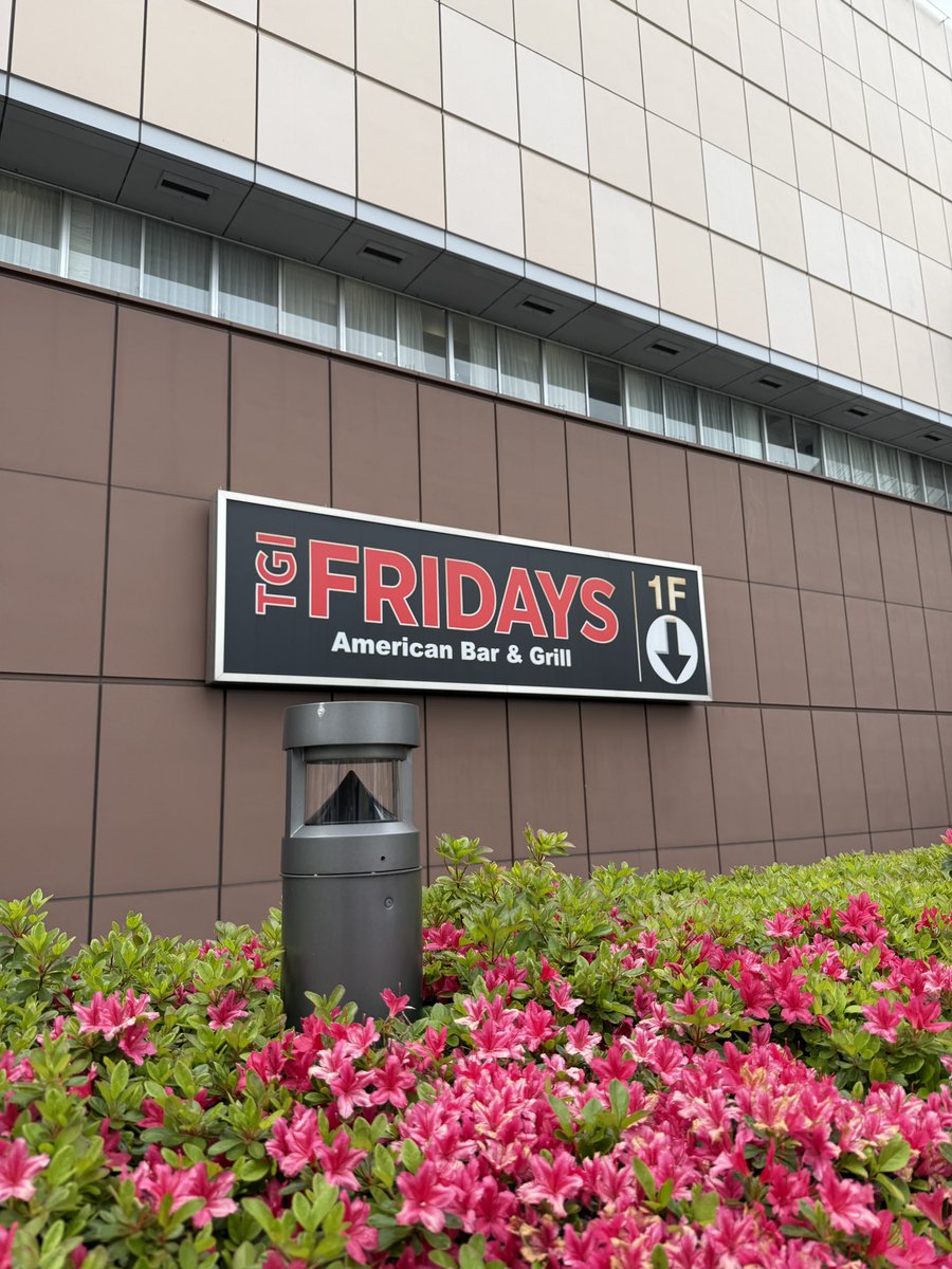 ぴかた tweet media