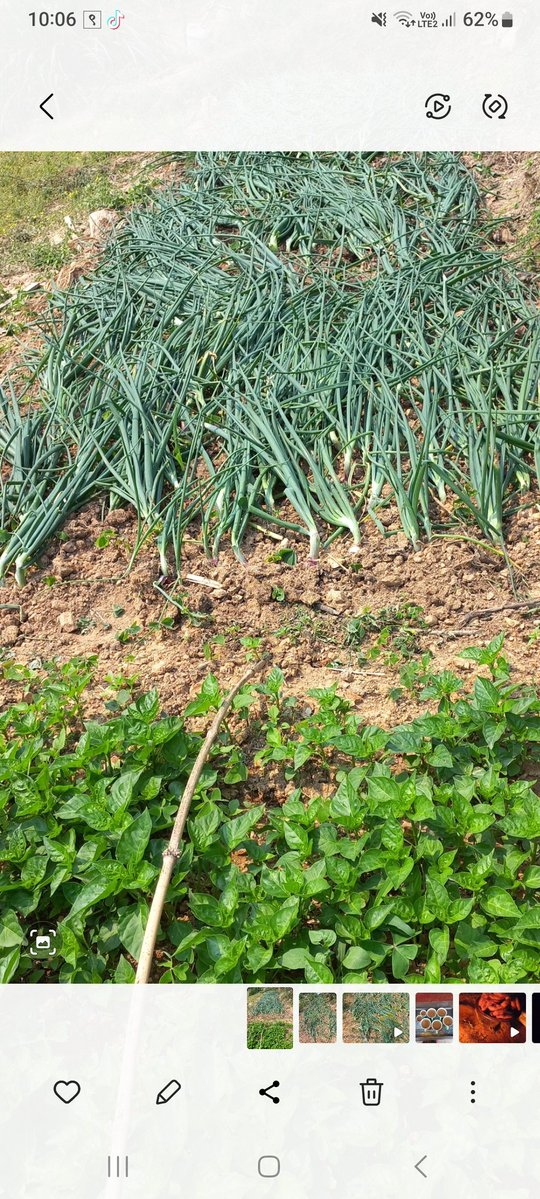 माझघरे ठुली🙍‍♀️❣️❣️ tweet media