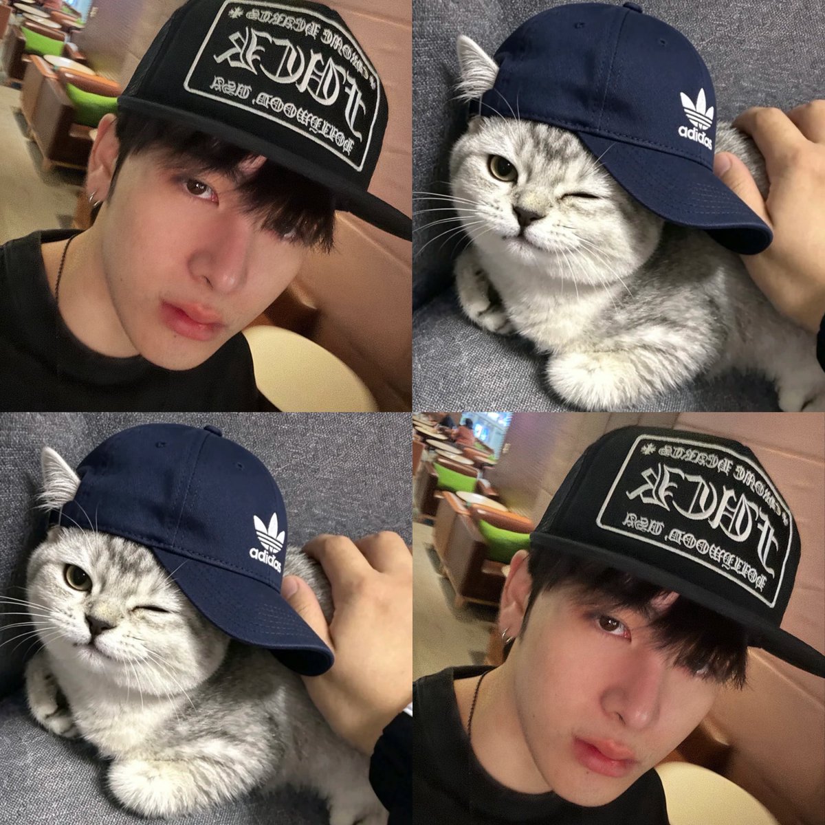 ⸌̟͂̋⸍̑⸜̑⸝͂ ᴷᵒⁿˢᵘᵃʸ ✿꙳~◡̈ tweet media