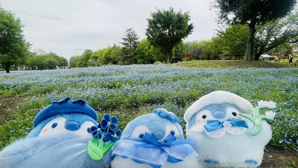 あきにょ tweet media