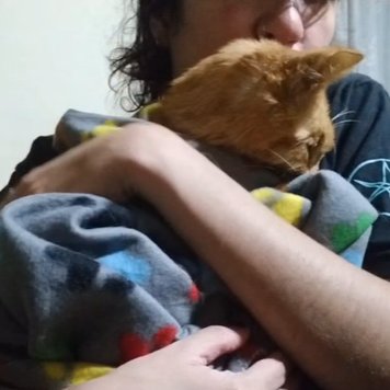 plant(ae)🌱 tweet media