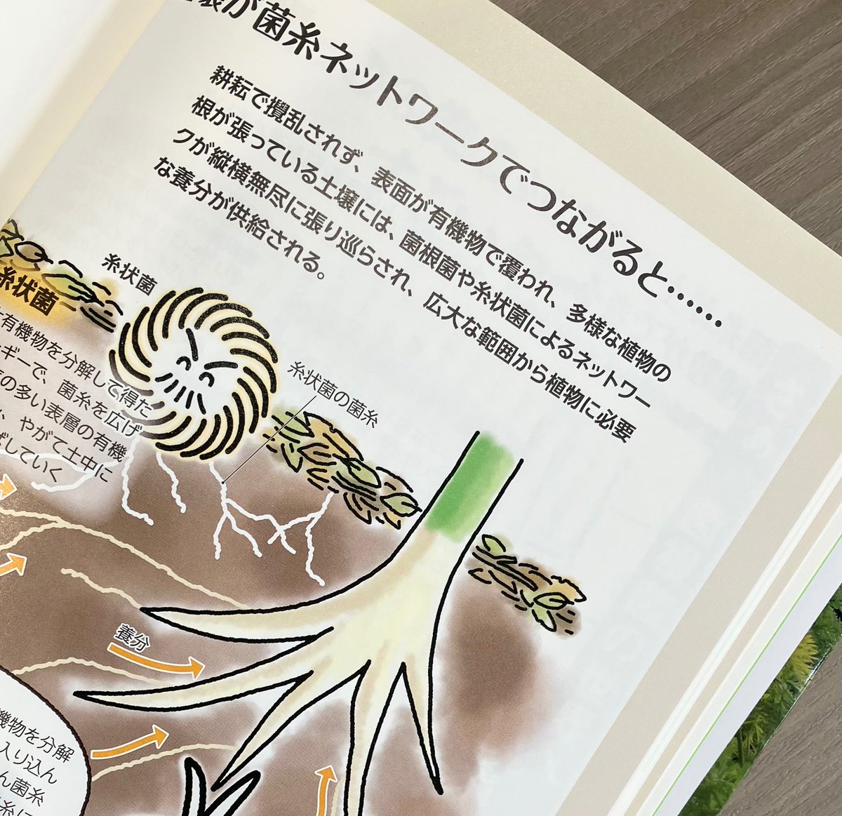 農文協 tweet media