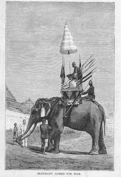 Chainarong19921's tweet image. จากตำราคชกรรม 
จุดที่๑กษัตริย์นั่งคอ 
จุดที่๑๑ที่นั่งไสสงครามในที่นี้อาจจะหมายถึงตำแหน่งพระยาไสสงครามคอยให้จังหวะ 
จุดที่๑๒ท้ายประชิด เป็นที่นั่งของควาญ ซึ่งจะถือขอมีลักษณะยาวเป็นพิเศษเพื่อบังคับช้างได้ทั้งตัว