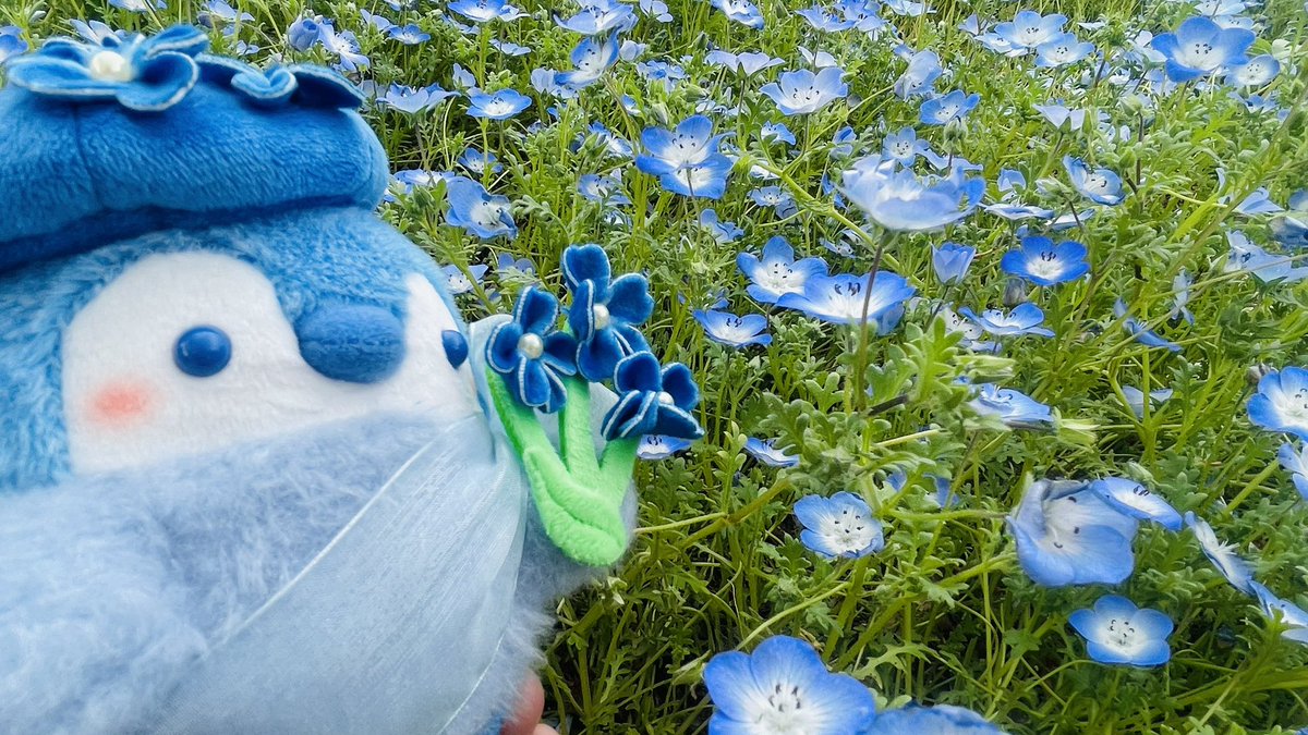 あきにょ tweet media