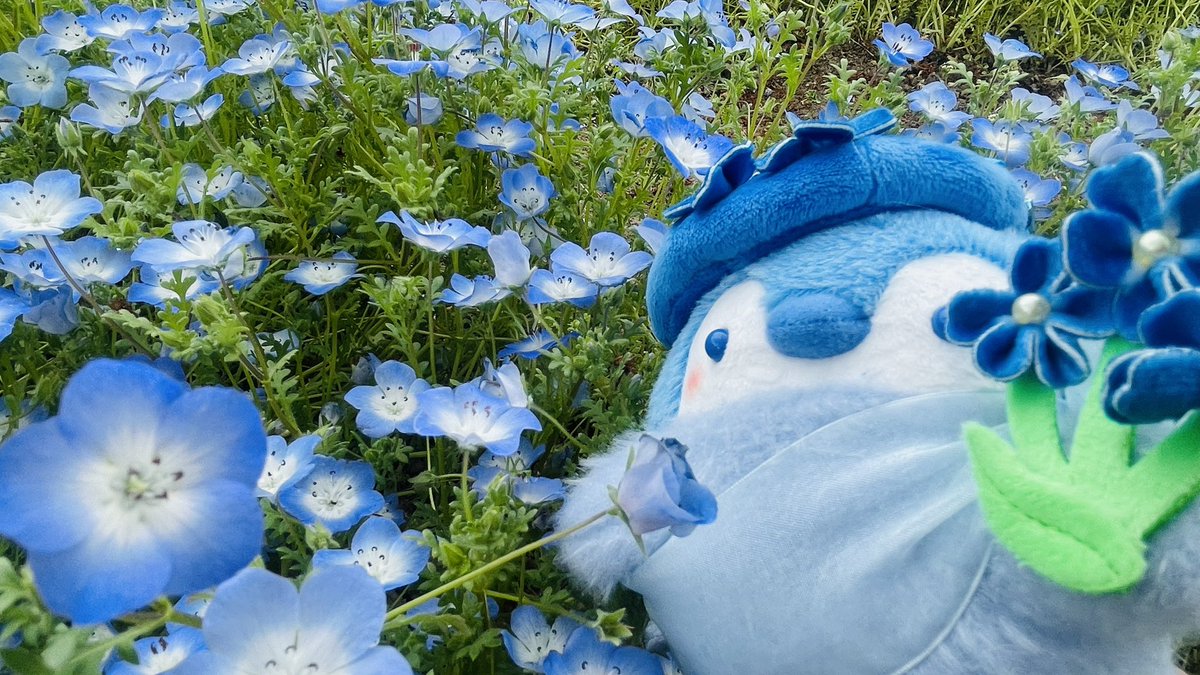 あきにょ tweet media