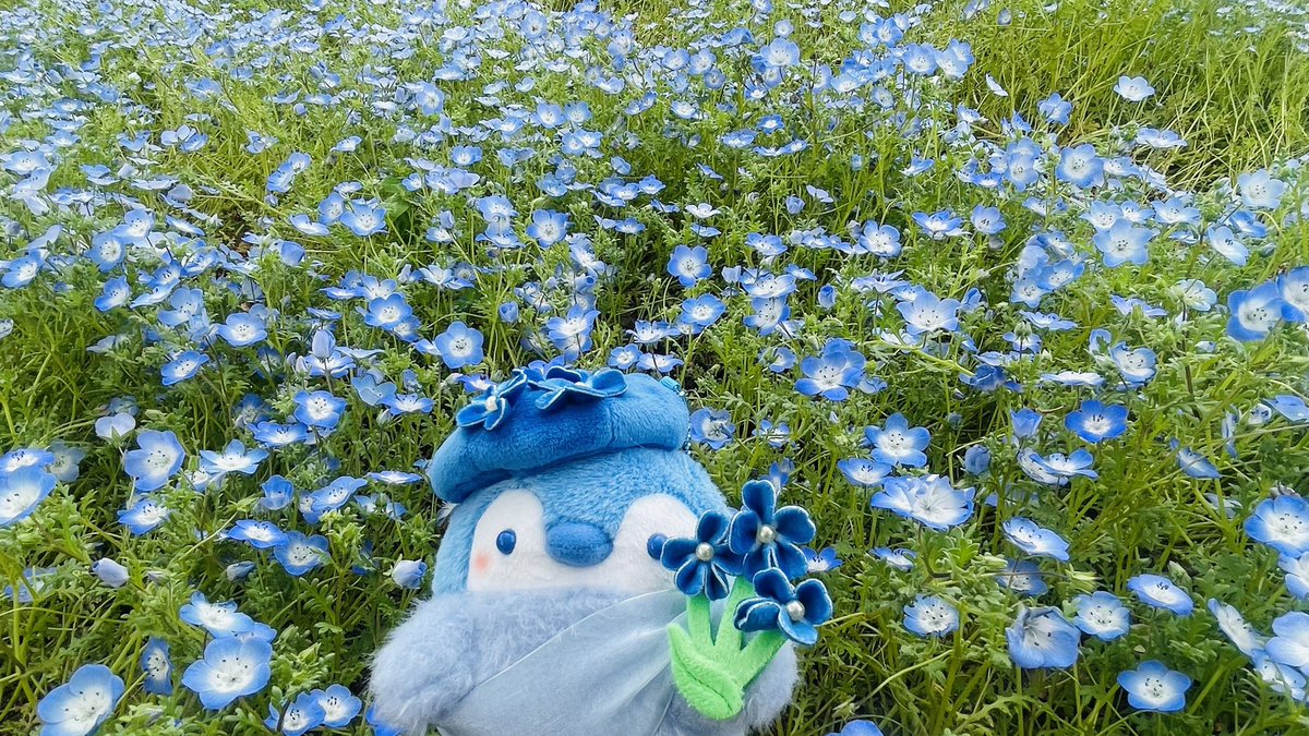 あきにょ tweet media