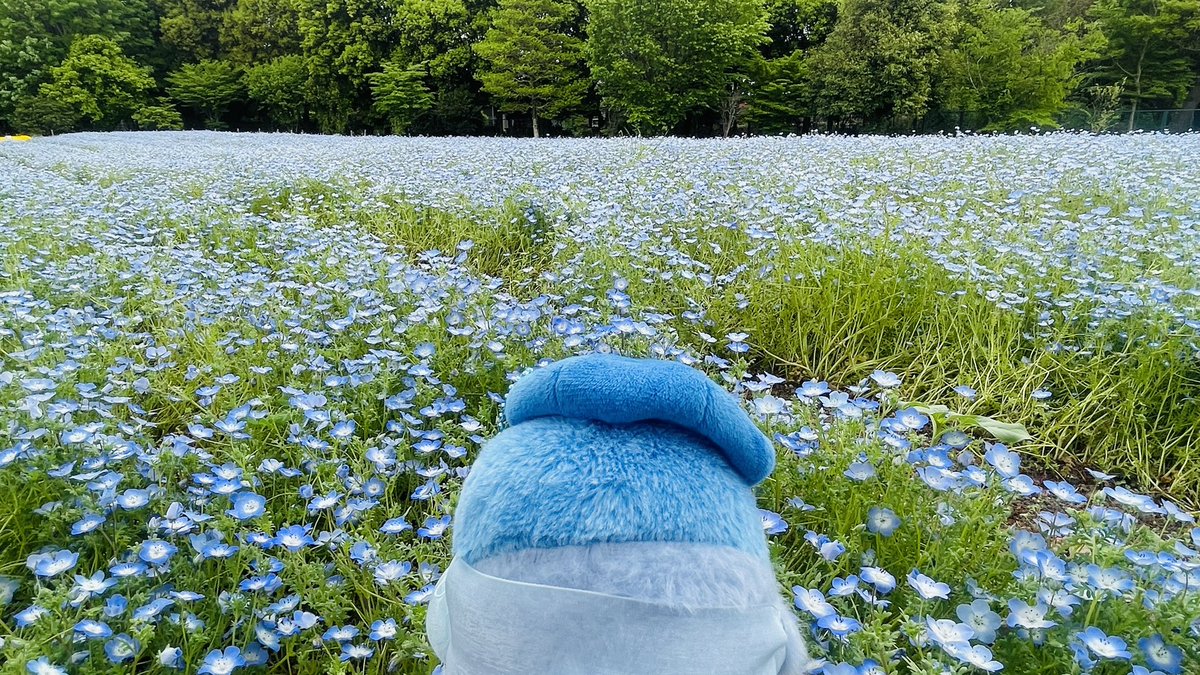 あきにょ tweet media