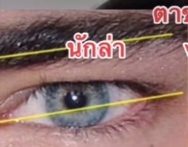 จีเม tweet media
