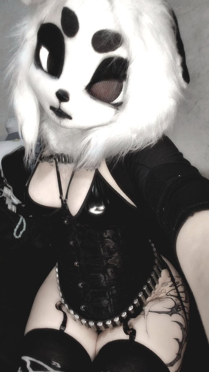 🦴woof!🦴🔜 ARFF2026 tweet media