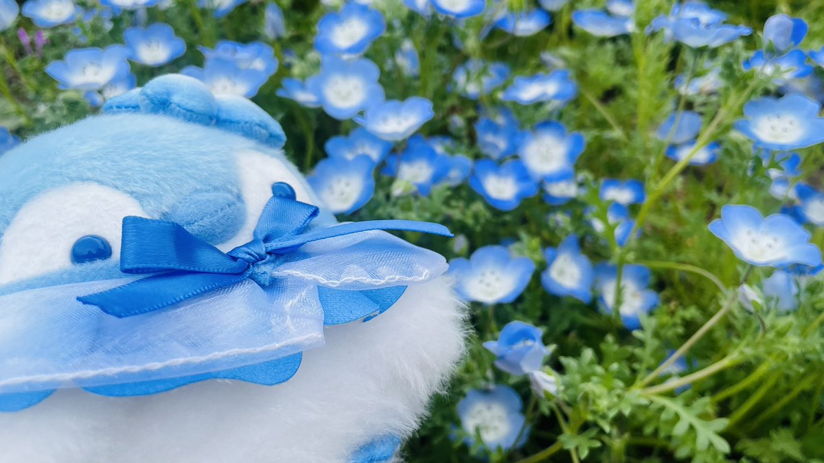 あきにょ tweet media