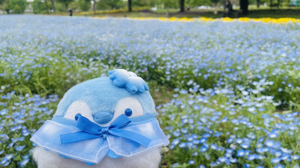 あきにょ tweet media