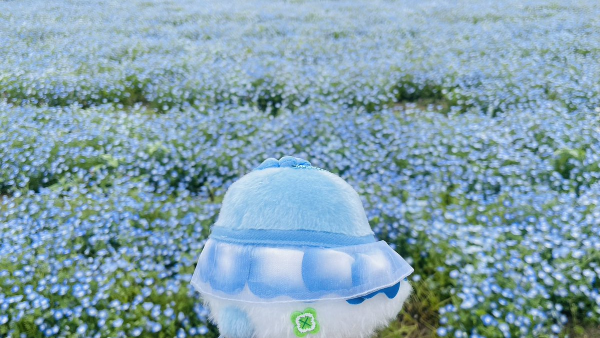 あきにょ tweet media