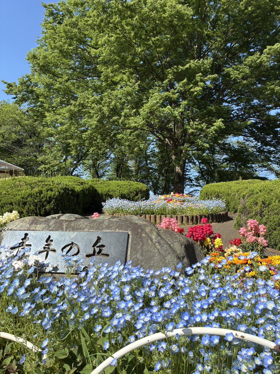 大崎公園【公式】 tweet media