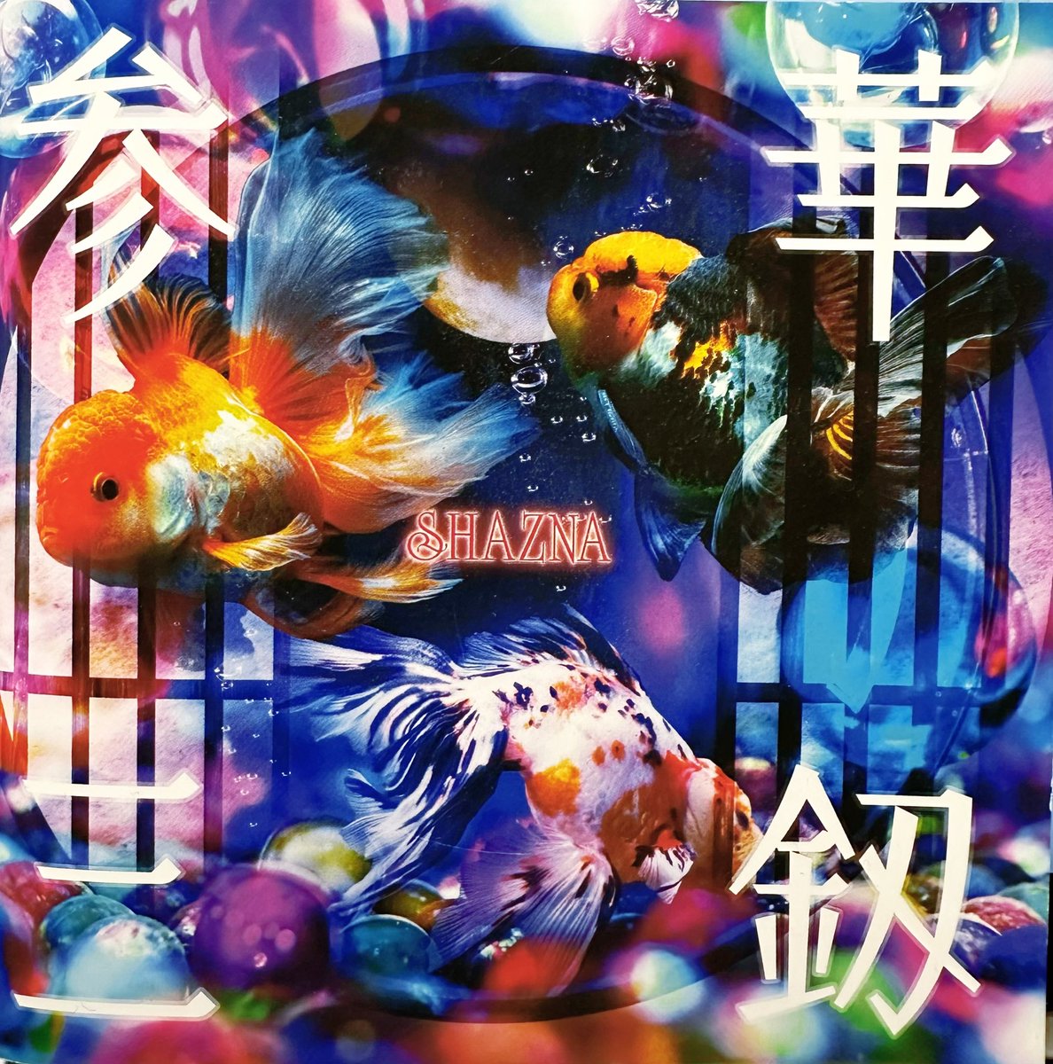 め〜み💞🙂 tweet media