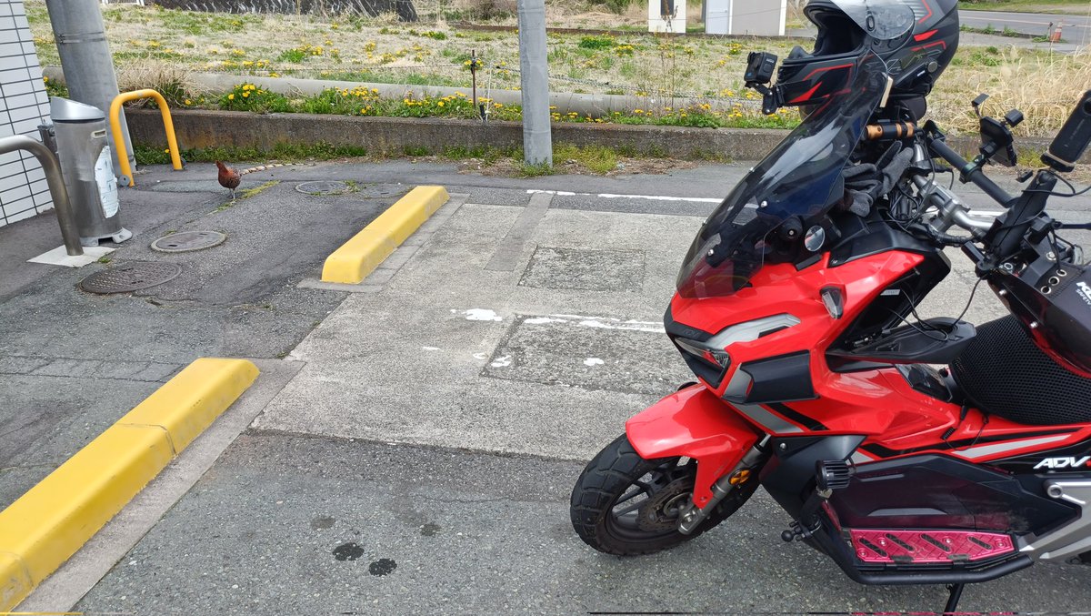 おでかけポコ tweet media