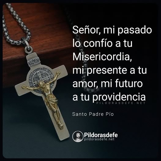 Fe Viva Católica tweet media