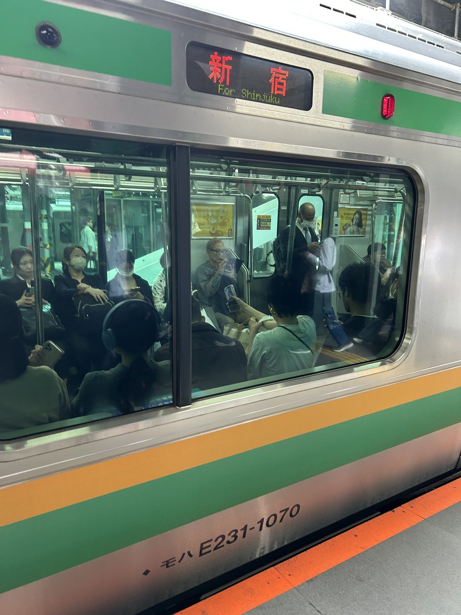 逃げた犬を捕まえると拾得物になる tweet media