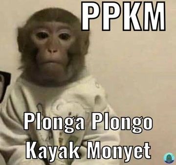 nalaa²⁶ tweet media