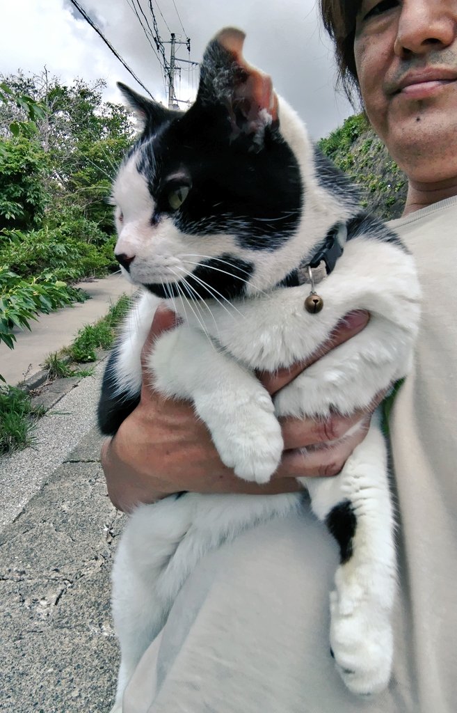 マック&シュンカナ-054🐈‍⬛🐈️ tweet media