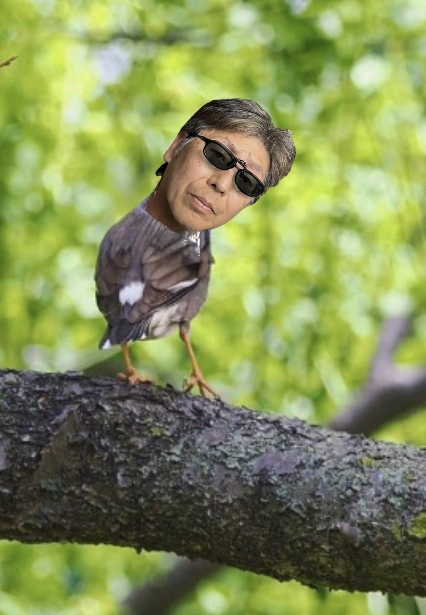 かっつん城推し改 tweet media