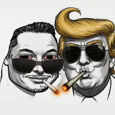 KITTY CATS tweet media