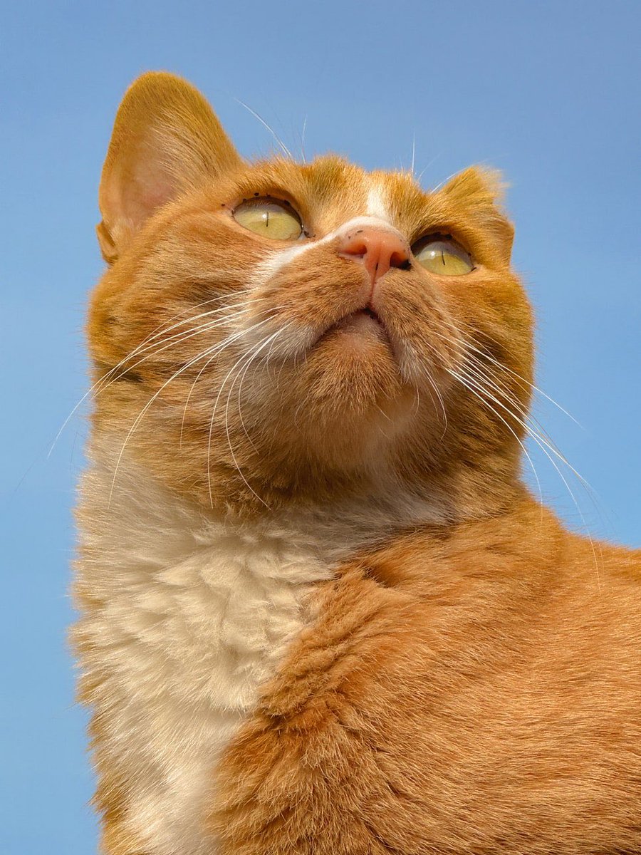 바게트 tweet media