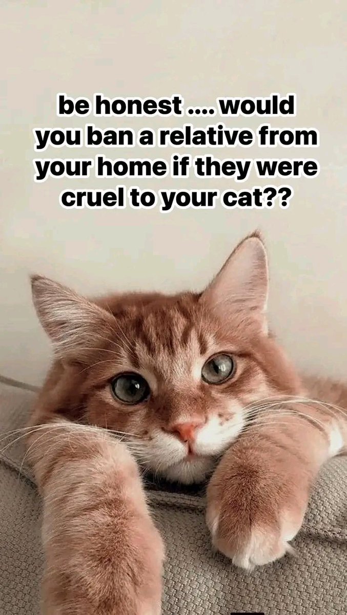 The pets only 🐾 tweet media