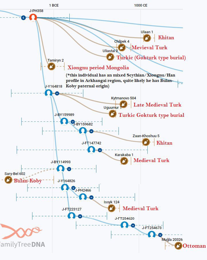 Turcomania tweet media