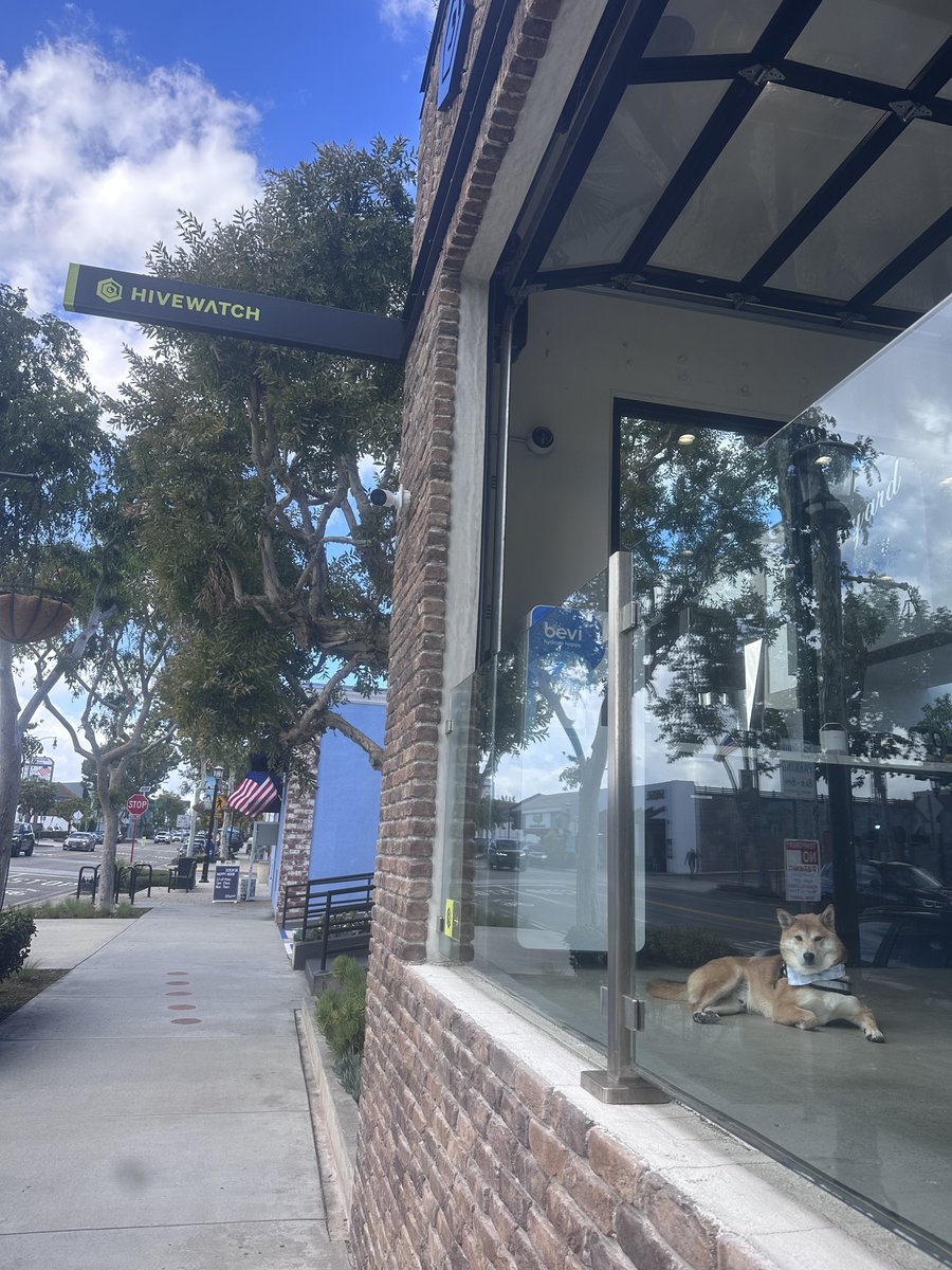 HiveWatch's tweet image. 🚨 WARNING: Guard dog on duty. 

🐶: Mango 

#ElSegundo #HiveWatch #PhysicalSecurity #SecurityOperations