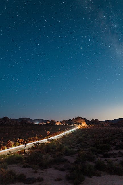 Brandon Johnson tweet media