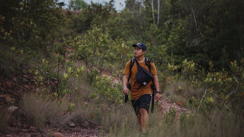 Brandon Johnson tweet media