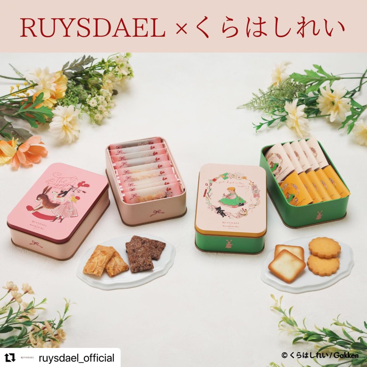hakoniwa01kdnm's tweet photo. ✤新商品✤
お菓子のパッケージにイラスト使っていただきました🍪

【ロイスダール×くらはしれい　コラボレーション商品】
https://t.co/eo7k4qK3ud https://t.co/3Wc4NNwqMe