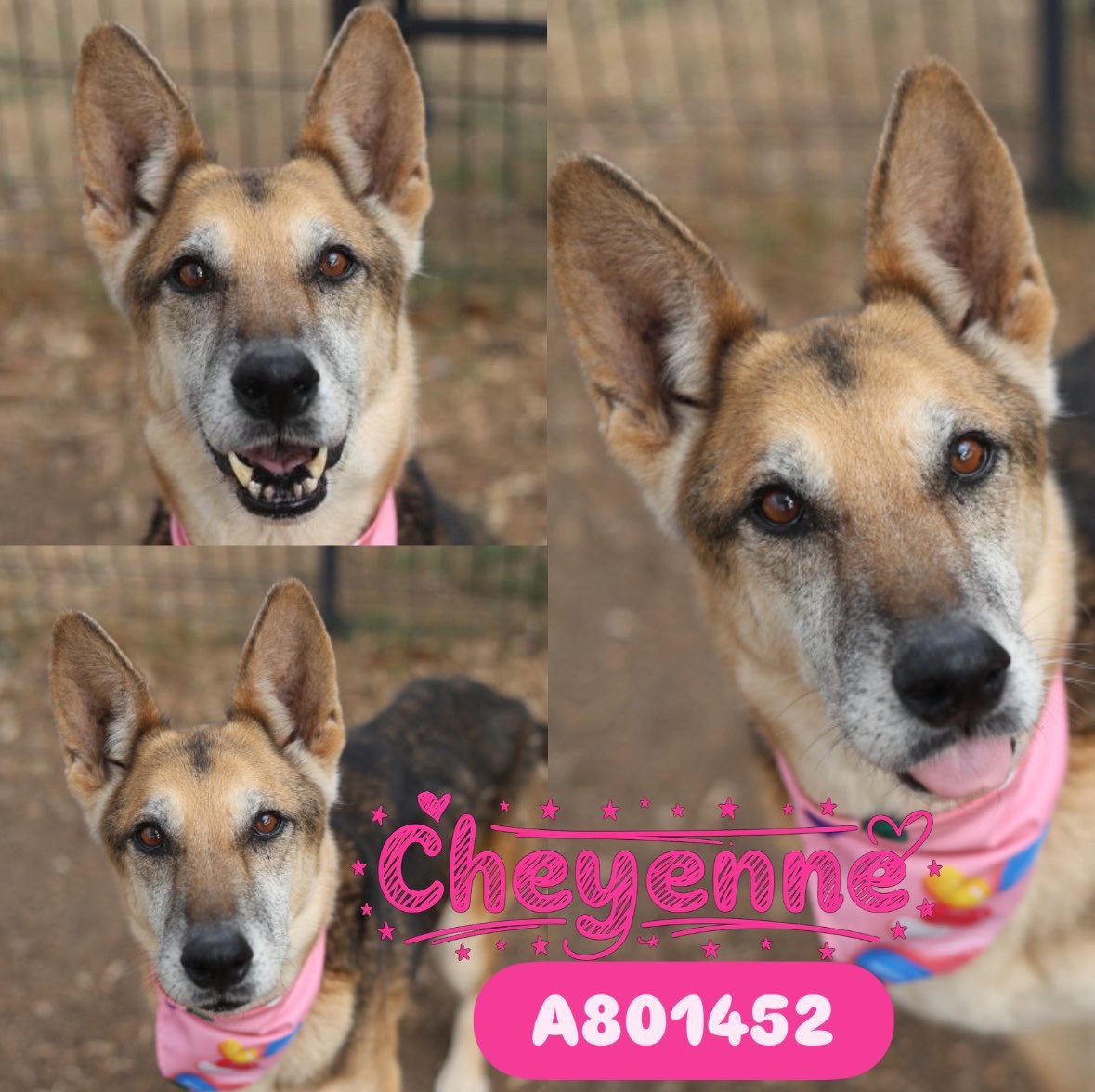 Aurora ⸆⸉ misses Liam ❯❯❯❯ tweet media