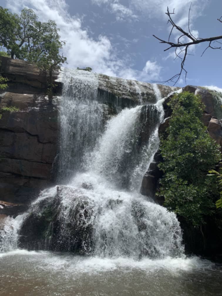 Alpha Oumar Sansiyaké Sow 🇬🇳🇬🇳🇬🇳 tweet media