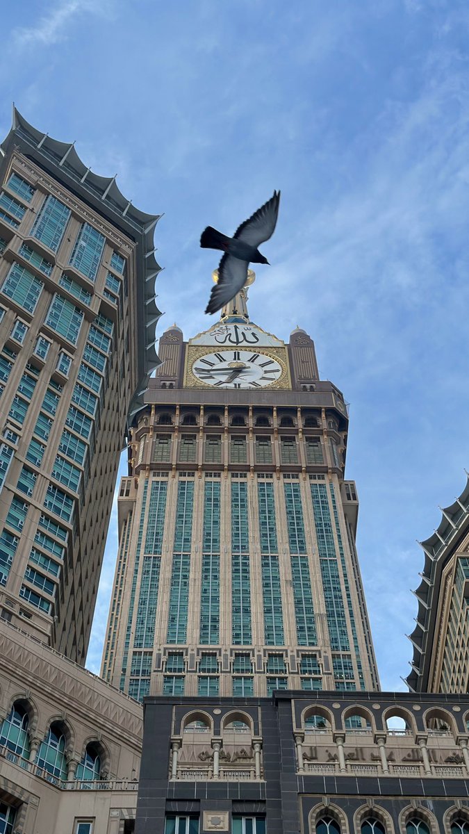 memealotaibi00's tweet photo. لبيك اللّهُم عمرة 
طاب اللقَاء و قرةَ العين وأرتوى القلب🤍🕊️
#مكه_المكرمه #الحرم https://t.co/lflWIkk6hx