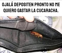 🌧️ tweet media