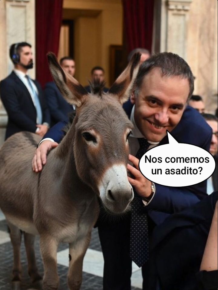 Alex_Rey tweet media