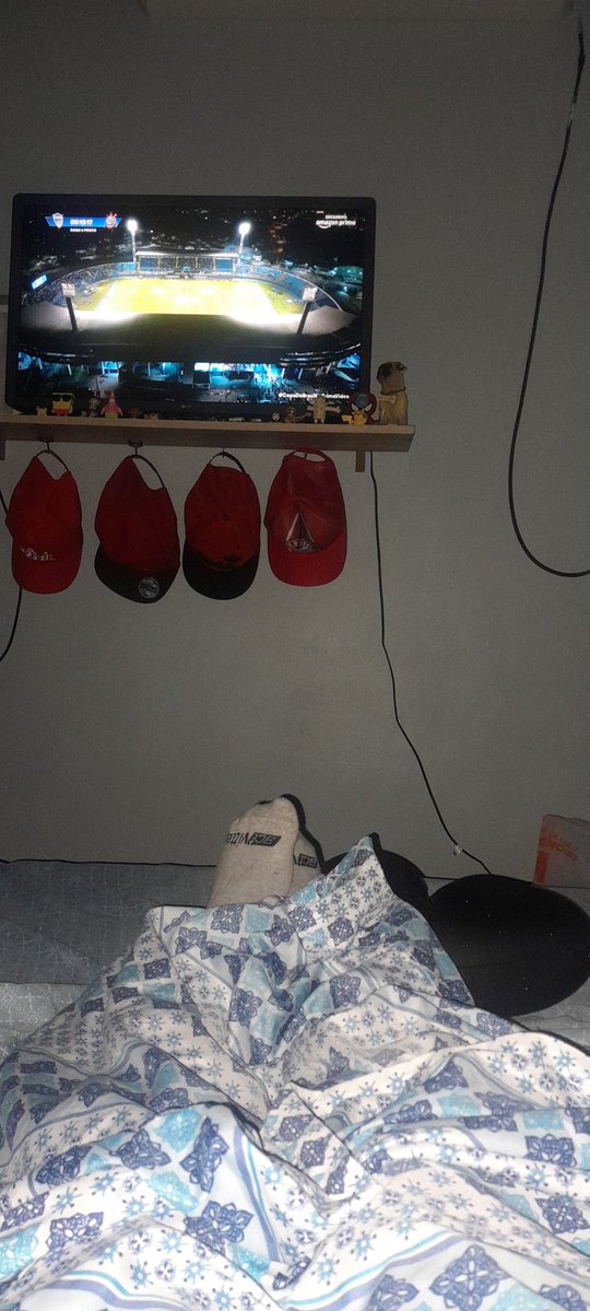 MJ | 🇦🇹 🇧🇷 🦋 #seita 🎃 ψ tweet media